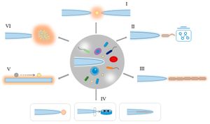 How Shaped Light Beams Could Revolutionize Optical Tweezers