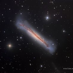  NGC 3628: The Hamburger Galaxy 