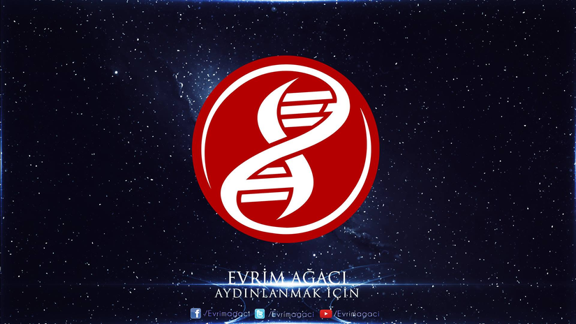 Evrim Ağacı Yeni Logosu (23 Şubat 2015). Logo, Serhat Seykan tarafından tasarlanmıştır.