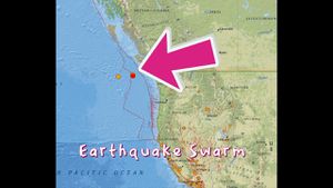 British Columbia Rattled By Earthquakes And Weather Challenges