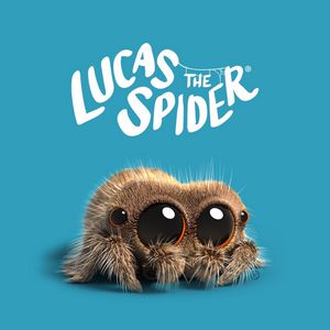 Örümcek Lucas