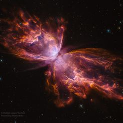  NGC 6302: The Butterfly Nebula 