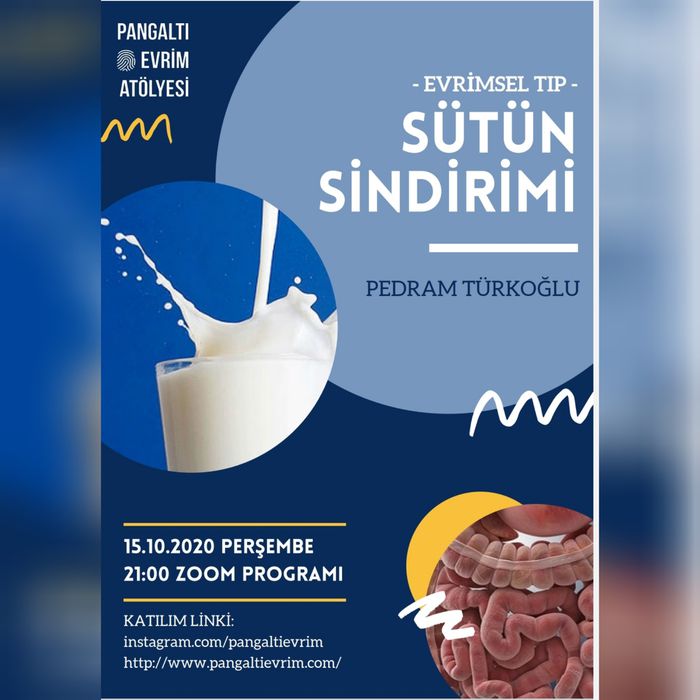 Sütün Sindirimi - Pedram Türkoğlu