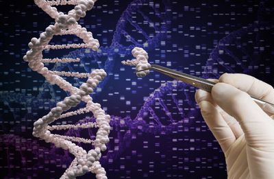 Karşılaştırmalı Genomik Bilimi