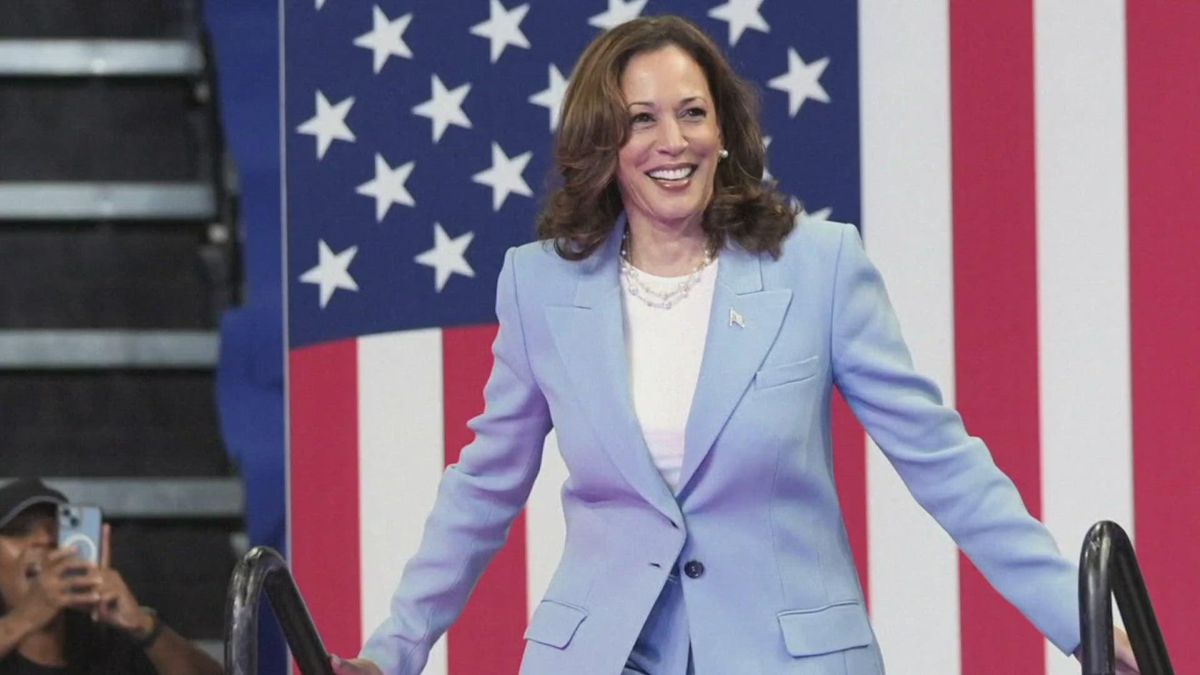 Kamala Harris Proposes Bold Economic Changes For 2024 Election The