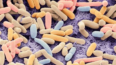 E. coli Bakterileri, Karbondioksit Yiyebilecek Şekilde Yeniden Tasarlandı!