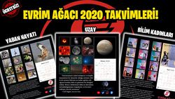 Ücretsiz Evrim Ağacı 2020 Takvimleri Yayında: Bilimin Altın Kadınları, Doğa Fotoğrafları ve Astronomi!