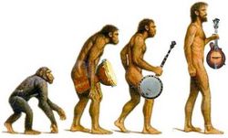 Müziğin biz insanlara olan etkisini, evrimsel süreçle nasıl açıklayabiliriz?