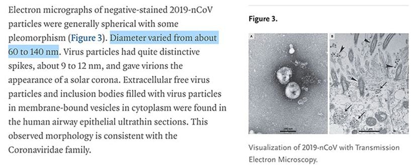 Virüsün çapı 60-140 nanometre arasında değişmektedir.