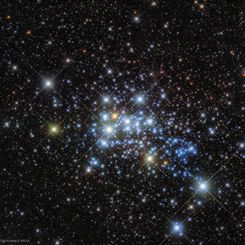  The Massive Stars in Westerlund 1 