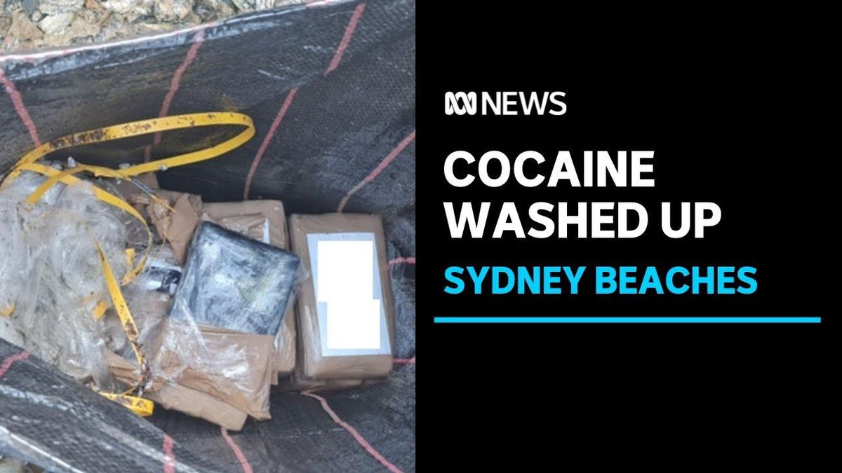 Florida Boaters Discover $625K Cocaine Package Adrift