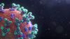 Virüsler Sayesinde Doğum Yapabilen Memeliler: Virüsler, Memelilerin Evrimini Nasıl Mümkün Kıldı?