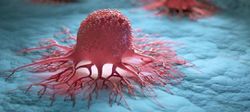 Hücreler dokuyu, dokular organları, organlar sistemleri, sistemler organizmayı oluşturuyorsa kanser hücresi  organizma olabilir mi?