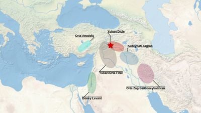 Hacettepe ve ODTÜ Ekibi, Yukarı Mezopotampya'nın Çayönü Tepesi'ni Antik DNA Yardımıyla Aydınlattı!