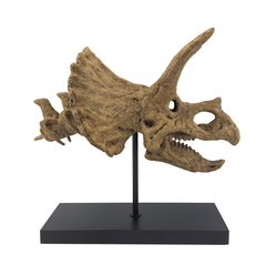 Triceratops No.2