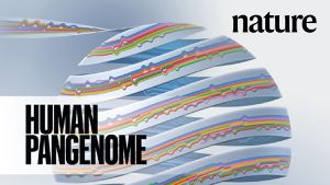 Advancements In Human Pangenome Set New Standard For Genetic Diversity