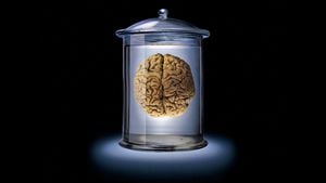 Kavanozdaki Beyinler (BIV) Argümanı: Hepimiz Kavanozdaki Beyinler Olabilir miyiz?
