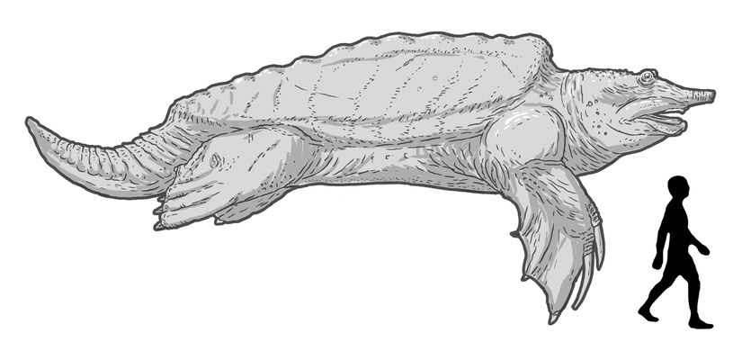 Therizinosaurus'un ilk tasvirinin modern bir paleoartı