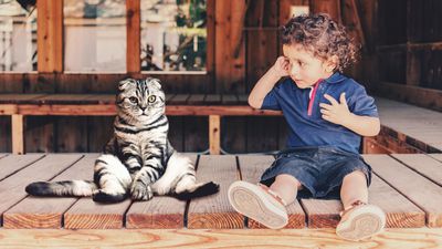 Evcil Hayvan Sahibi Olmak Çocuklar İçin Zararlı mıdır?