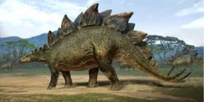 Stegosaurus tasviri