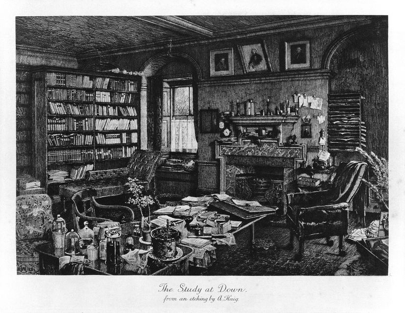 Darwin'in ölümünden kısa süre sonra Axel Haig tarafından çizilen, Down House'ta Darwin'in çalışma odasını gösteren çizim.