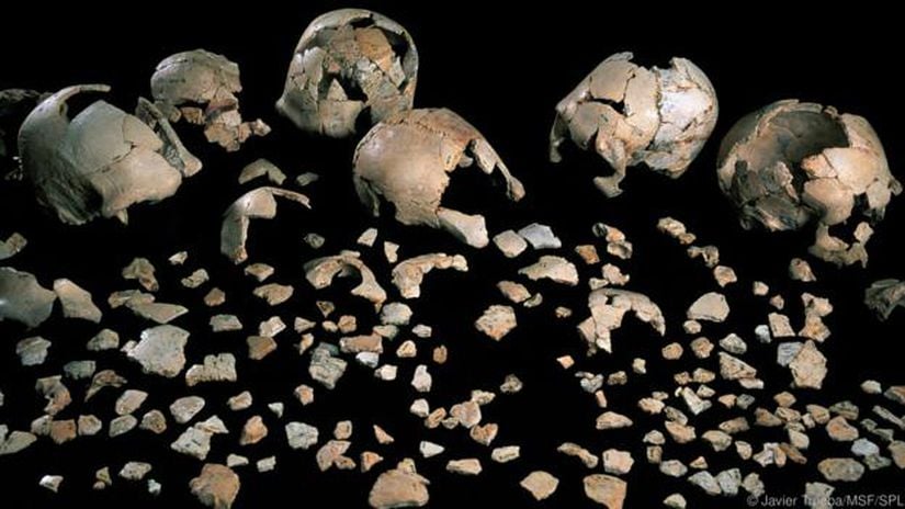 Bir zamanlar dünya üzerinde birçok hominin türü dolaşmaktaydı 