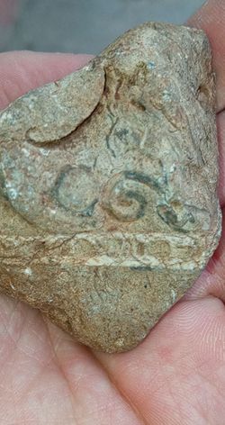 Bulduğum taşın üstünde fosile benzer şeyler nedir?