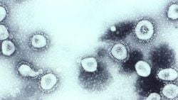 İnsan Koronavirüsü OC43 Nedir? Nasıl Bir Hastalığa Sebep Olur?