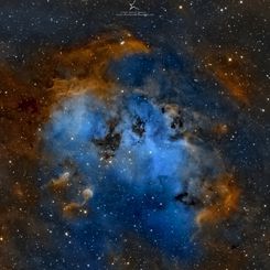  The Tadpoles of IC 410 