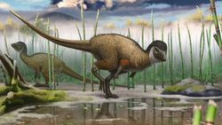 Sibirya Fosil Bulgusu "Tüylü Dinozorlar Dönemi" İddiasını Güçlendiriyor!