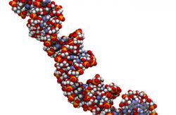 Mikro RNA nedir?
