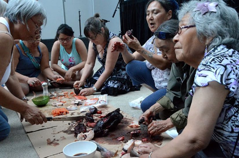 Montreal'de düzenlenen Tillutarniit Festivali'ne katılan İnuit kadınları, biraraya gelip fok ve Kutup Alabalığı ile yapılan geleneksel bir yemek hazırlıyorlar.