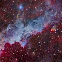 IC 2118: Cadı Başı Bulutsusu