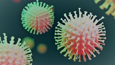 Sitokin Fırtınası: Koronavirüsle Mücadelede, Bağışıklık Sisteminin 