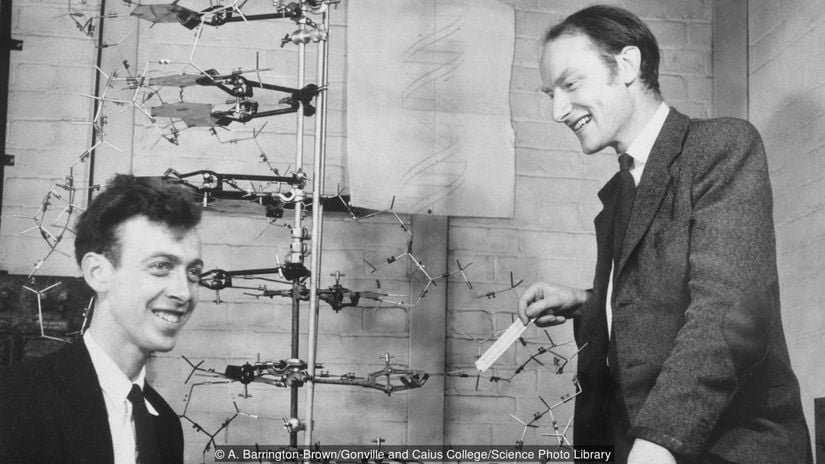 James Watson ve Francis Crick, yaptıkları DNA modelleriyle.