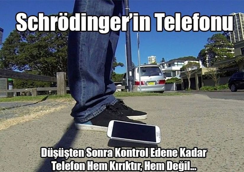 Schrödinger'in Telefonu