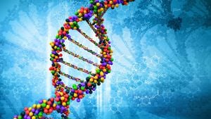 DNA Hasarı ve Onarımı: Hata Yapan DNA Parçaları Nasıl Tamir Edilir?