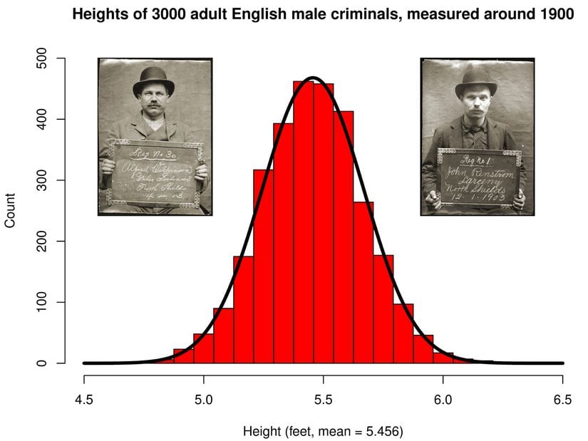 3000 İngiliz erkek suçlunun boy ölçümlerinin dağılımı (1900'lü yıllarda ölçüldü). İnsan kişilikleri de kategorilere dağılmaz, buradaki gibi düzgün bir dağılım gösterir.