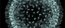 Muhteşem Görünümlü ve Ölümcül 12 Virüs