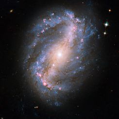  Barred Spiral Galaxy NGC 6217 