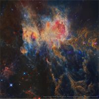  Infrared Orion from WISE 