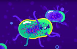 Bakterileri manipüle etmek mümkün mü ?