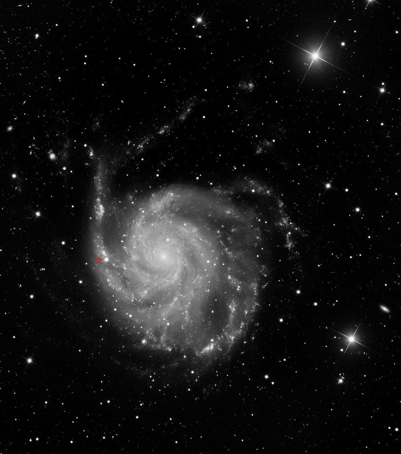 M101'in amatör astronom Eliot Herman tarafından çekilmiş bir fotoğrafı. SN 2023ixf, kırmızı bir ok işareti ile işaretlenmiştir.