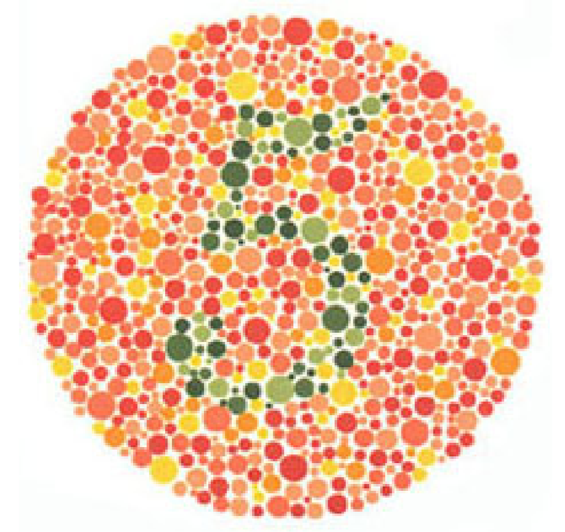 Plaka 14: Normal görüşlüler 5 görürler, kırmızı-yeşil renk körleri hiçbir sayı görmez veya bir sorun olduğunu düşünürler.