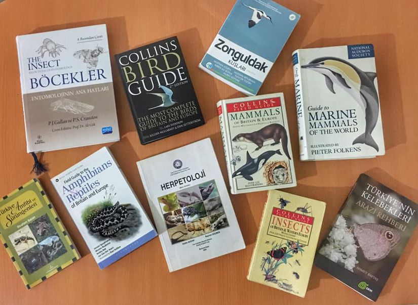 Taksonomik sınıflandırmalar için yardımcı olan bazı akademik kaynaklar (textbook) ve arazi rehberleri (field guide).