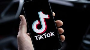 TikTok Battles For First Amendment Rights Against U.S. Government Claims