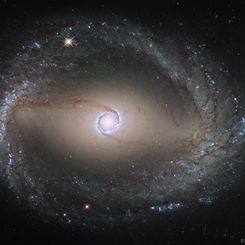  Spiral Galaxy NGC 1512: The Inner Ring 