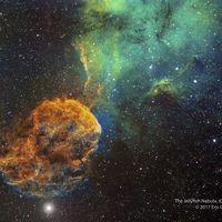  Sharpless 249 and the Jellyfish Nebula 