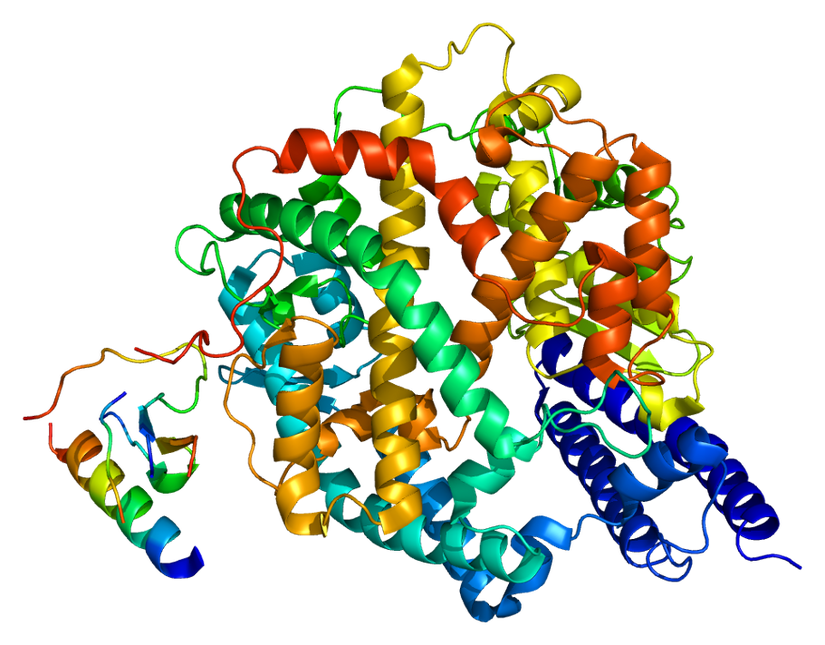 Anjiyotensin dönüştürücü enzimin bilgisayar ortamında 4.halinin (kuaterner) gösterimi.