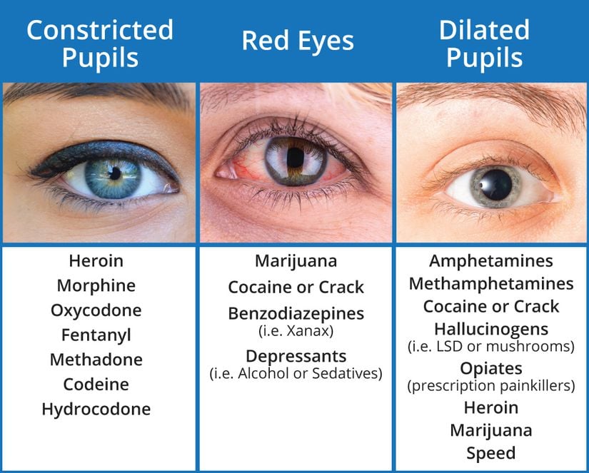 Çeşitli maddelerin pupiller üzerindeki etkileri.